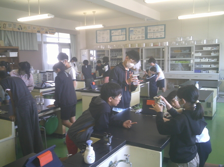 DSCF0139.JPG