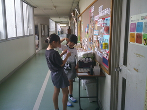 DSCF0096.JPG