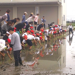 地域・家庭の方に支えられて田植え体験　0605