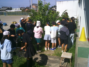 DSCF0016.JPG