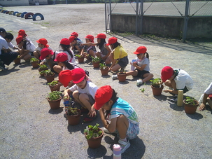 DSCF0053.JPG