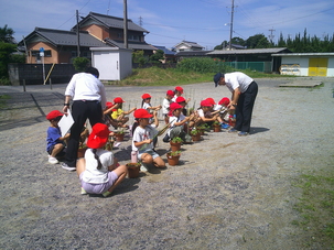 DSCF0055.JPG