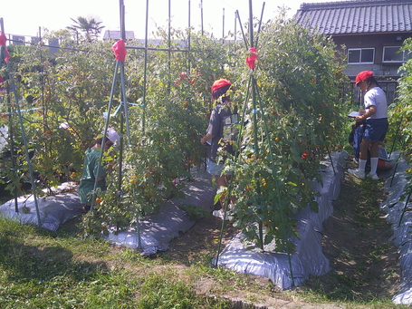 DSCF0074.JPG