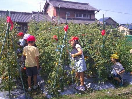 DSCF0086.JPG