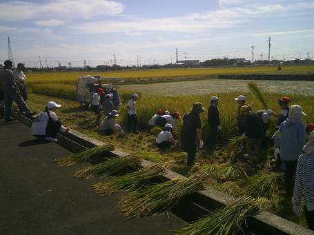 DSCF0288.JPG