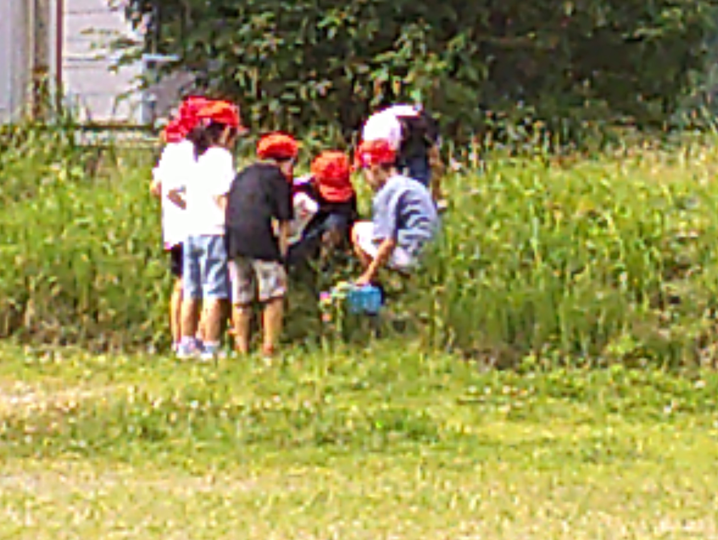 DSCF0086.JPG