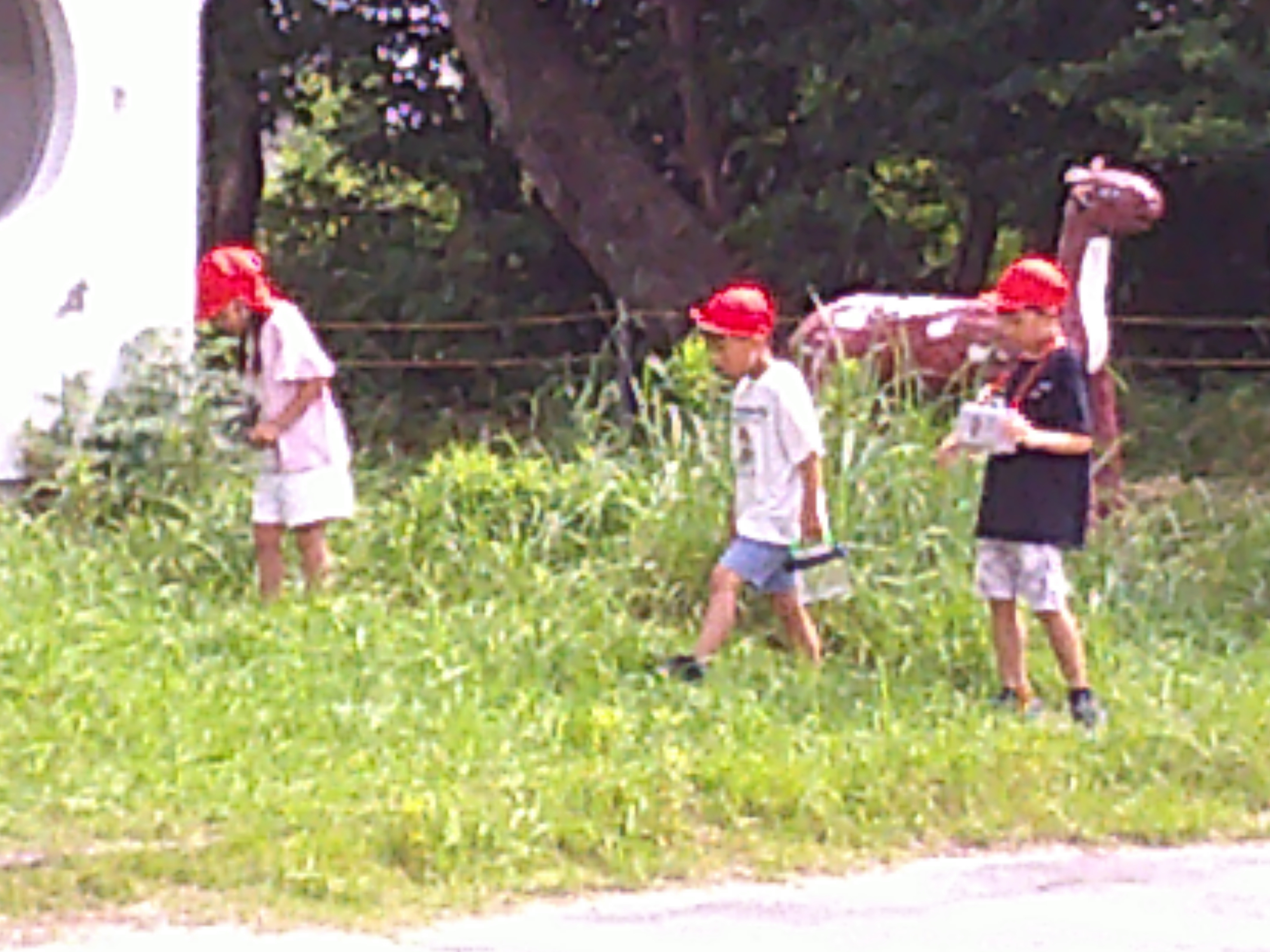 DSCF0088.JPG