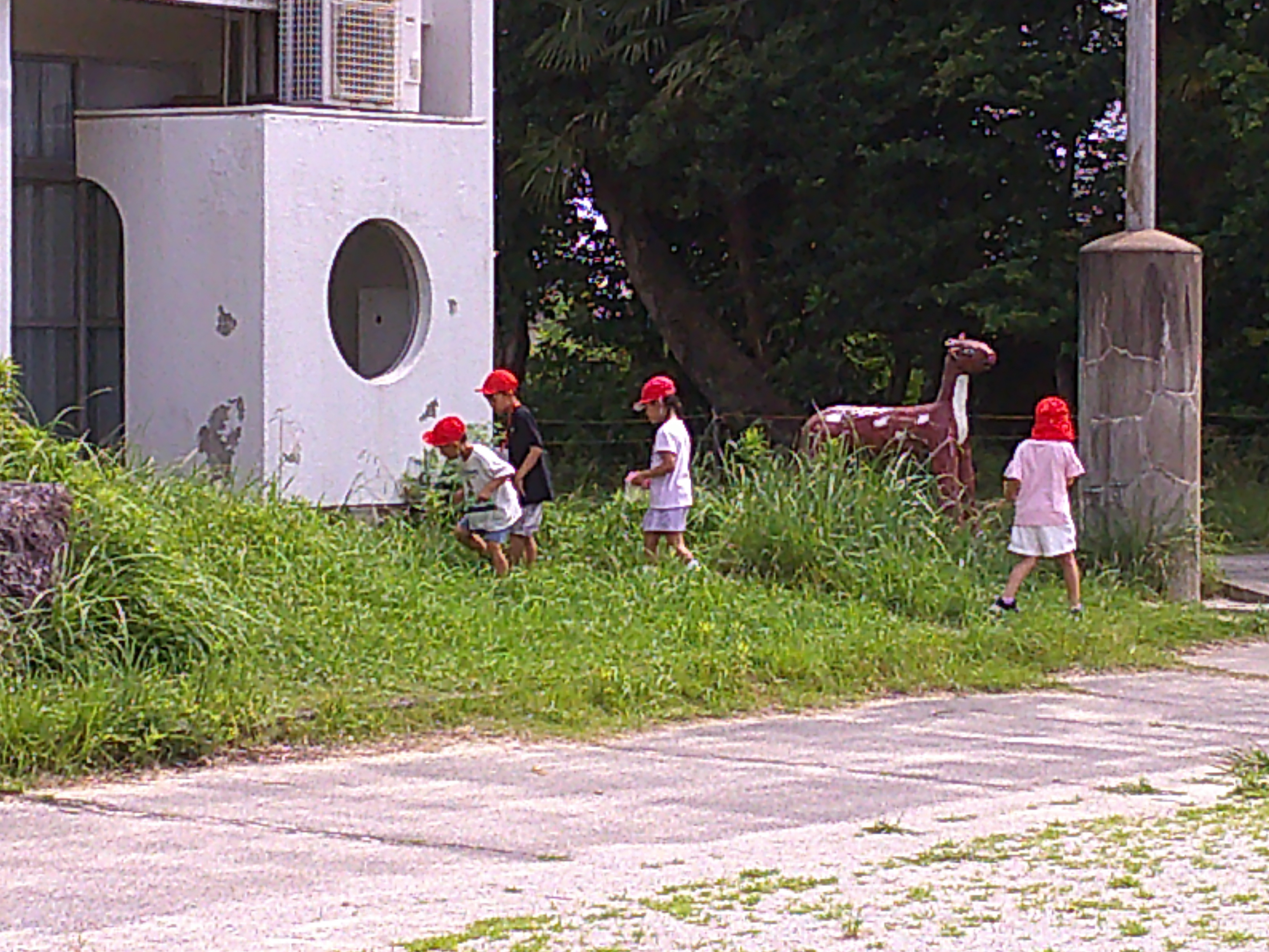 DSCF0093.JPG