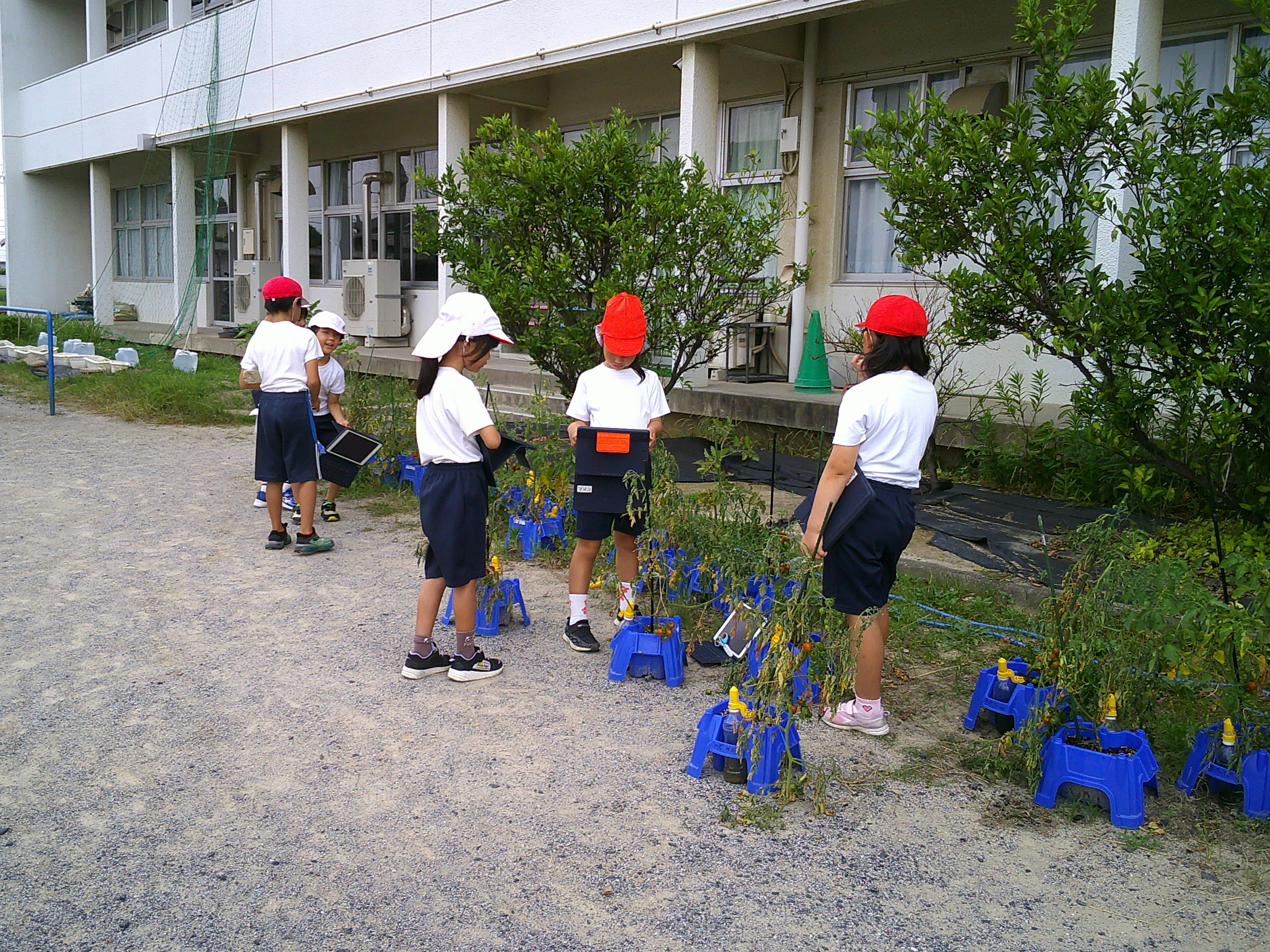 DSCF0109.JPG