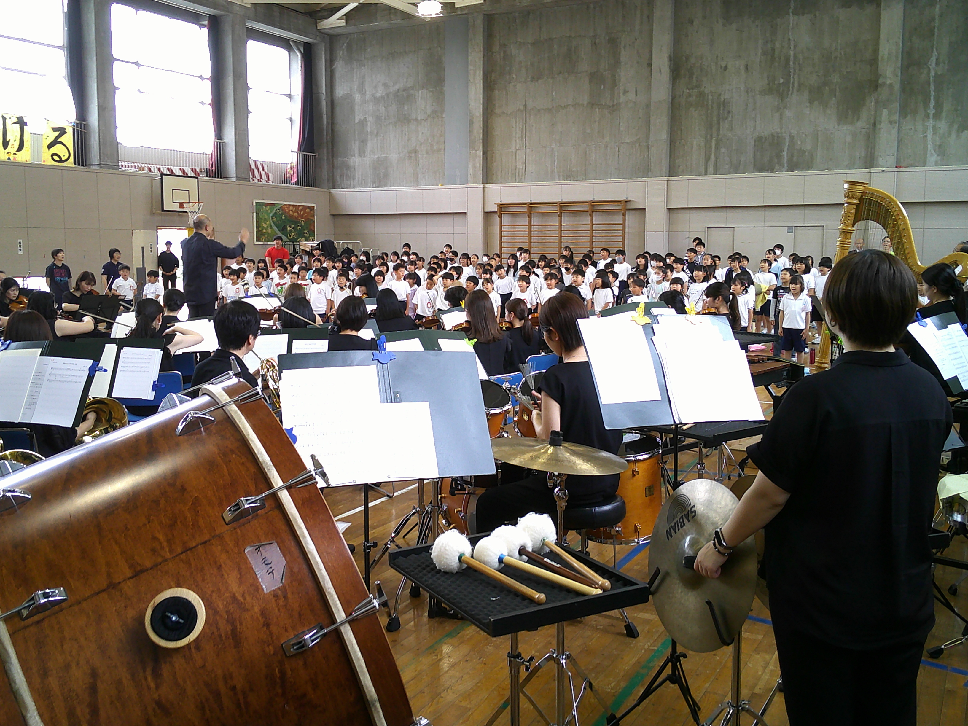 DSCF0245.JPG