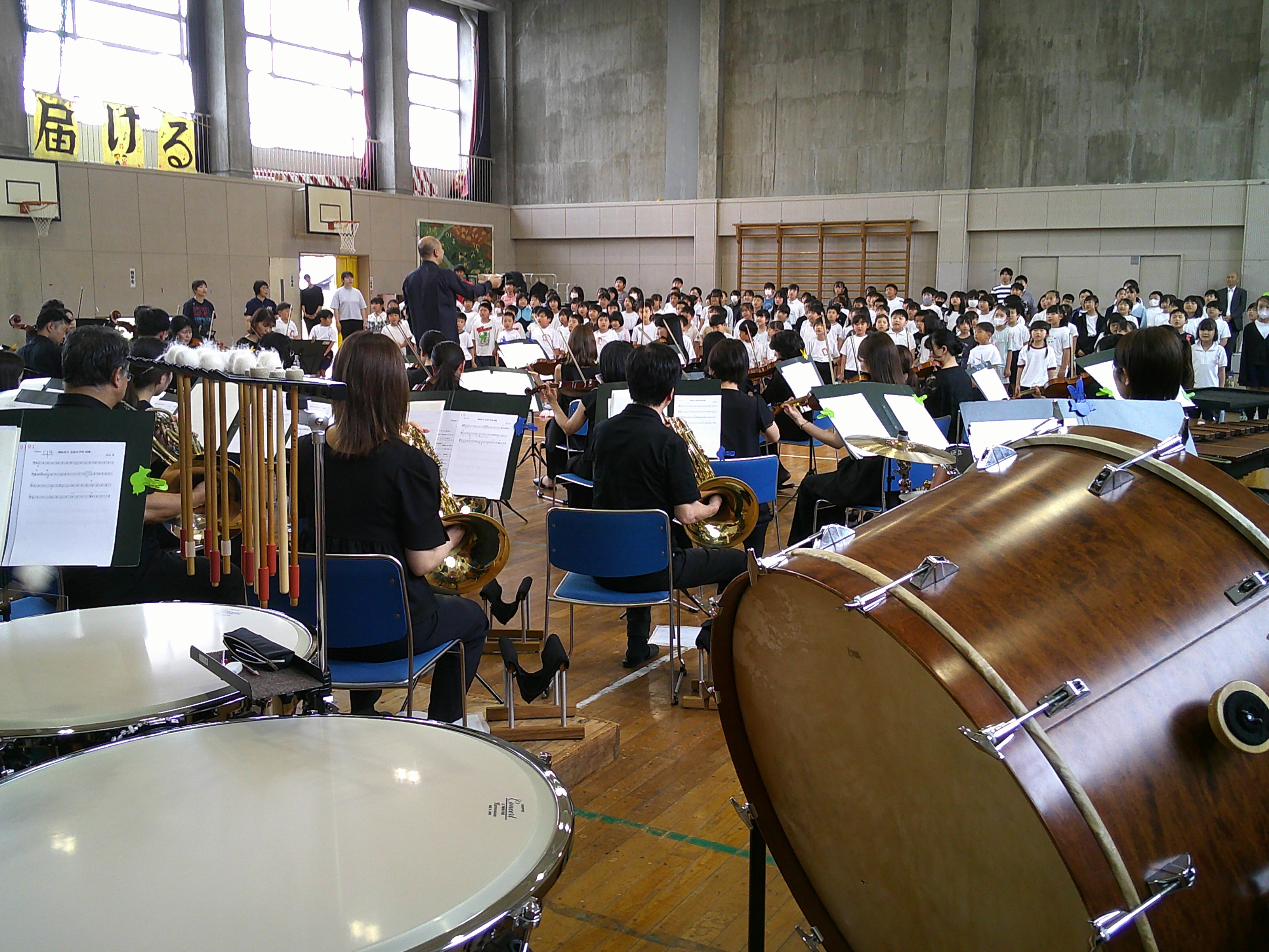 DSCF0252.JPG