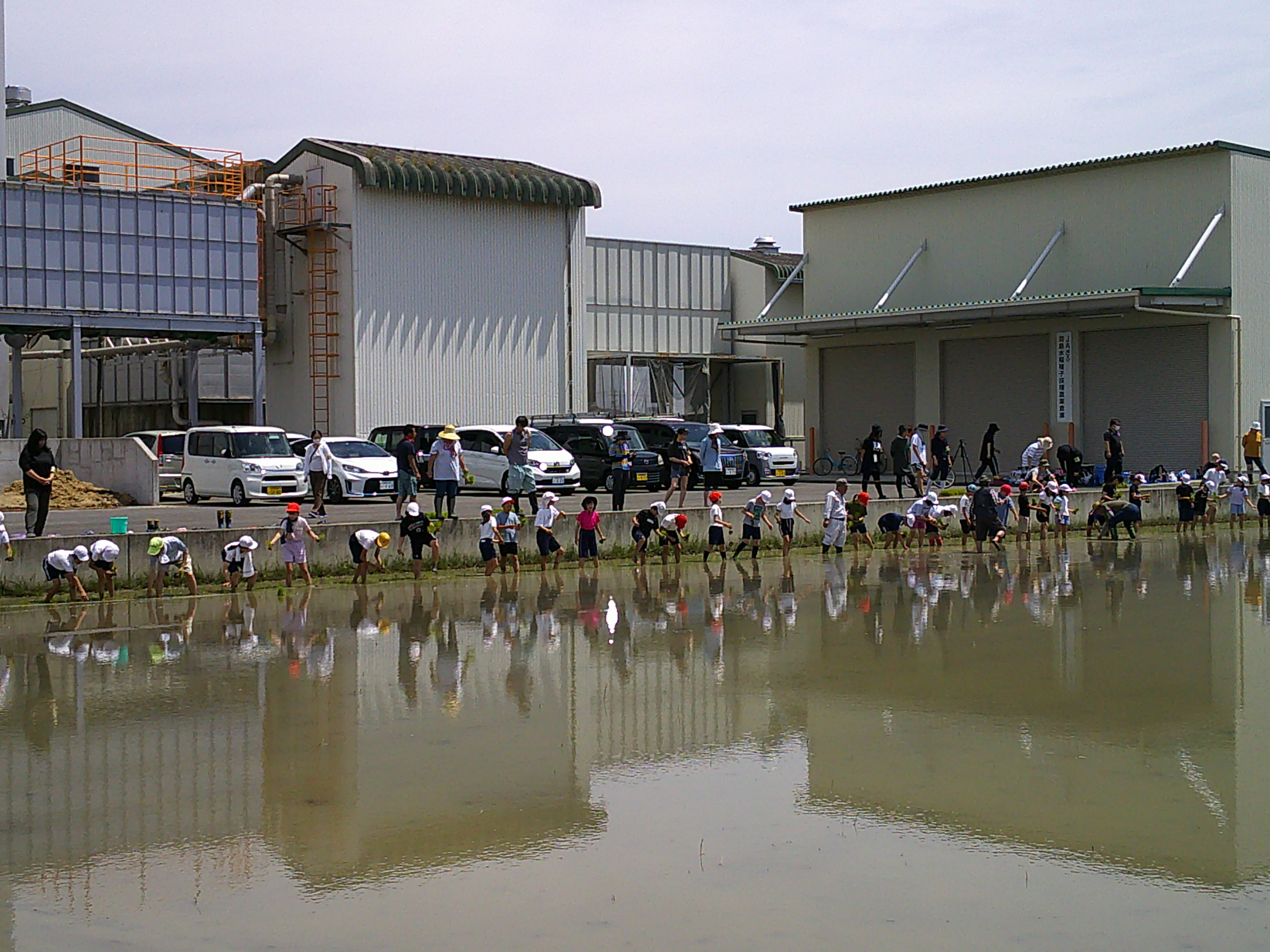 DSCF0035.JPG