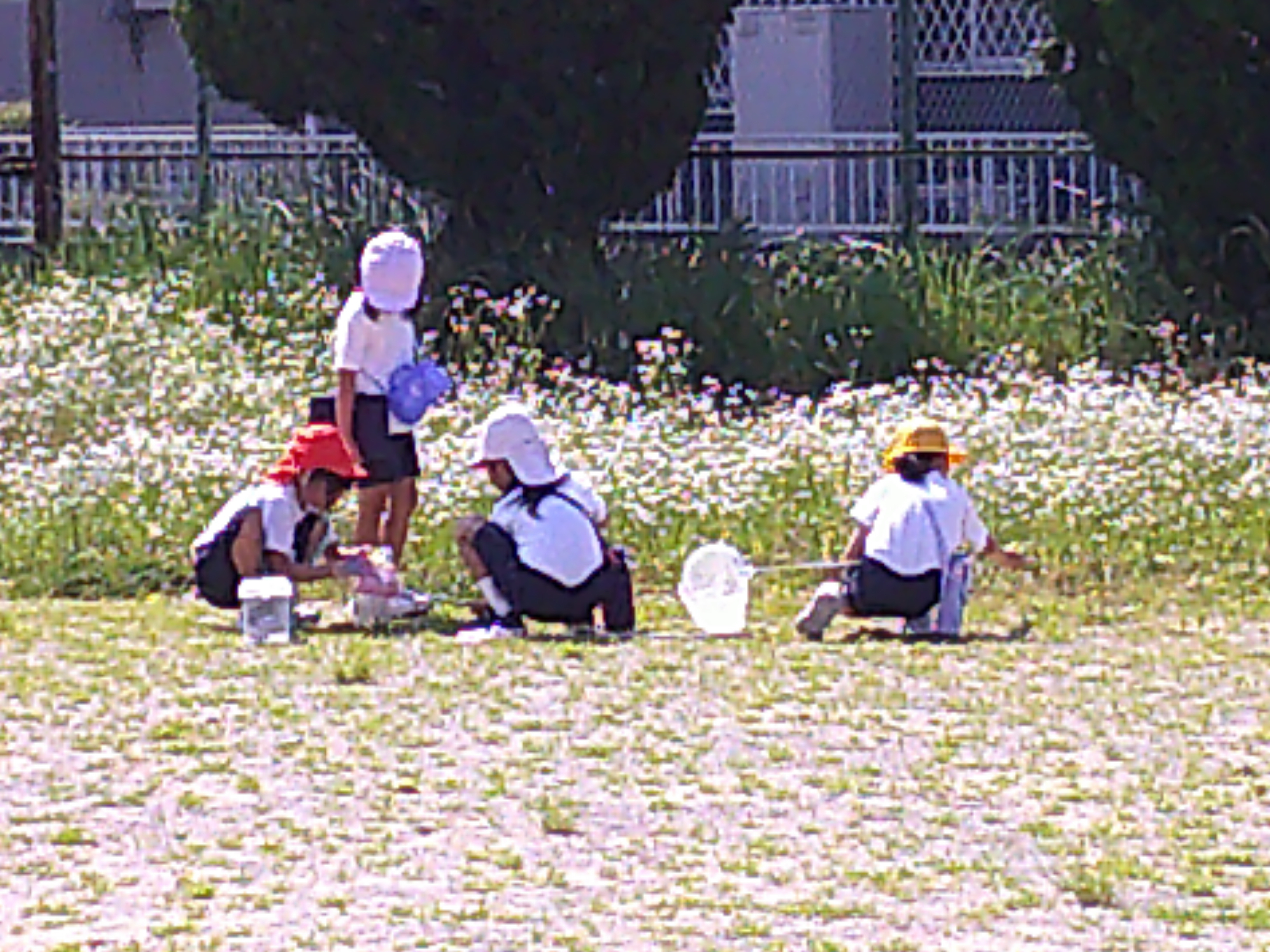 DSCF0050.JPG