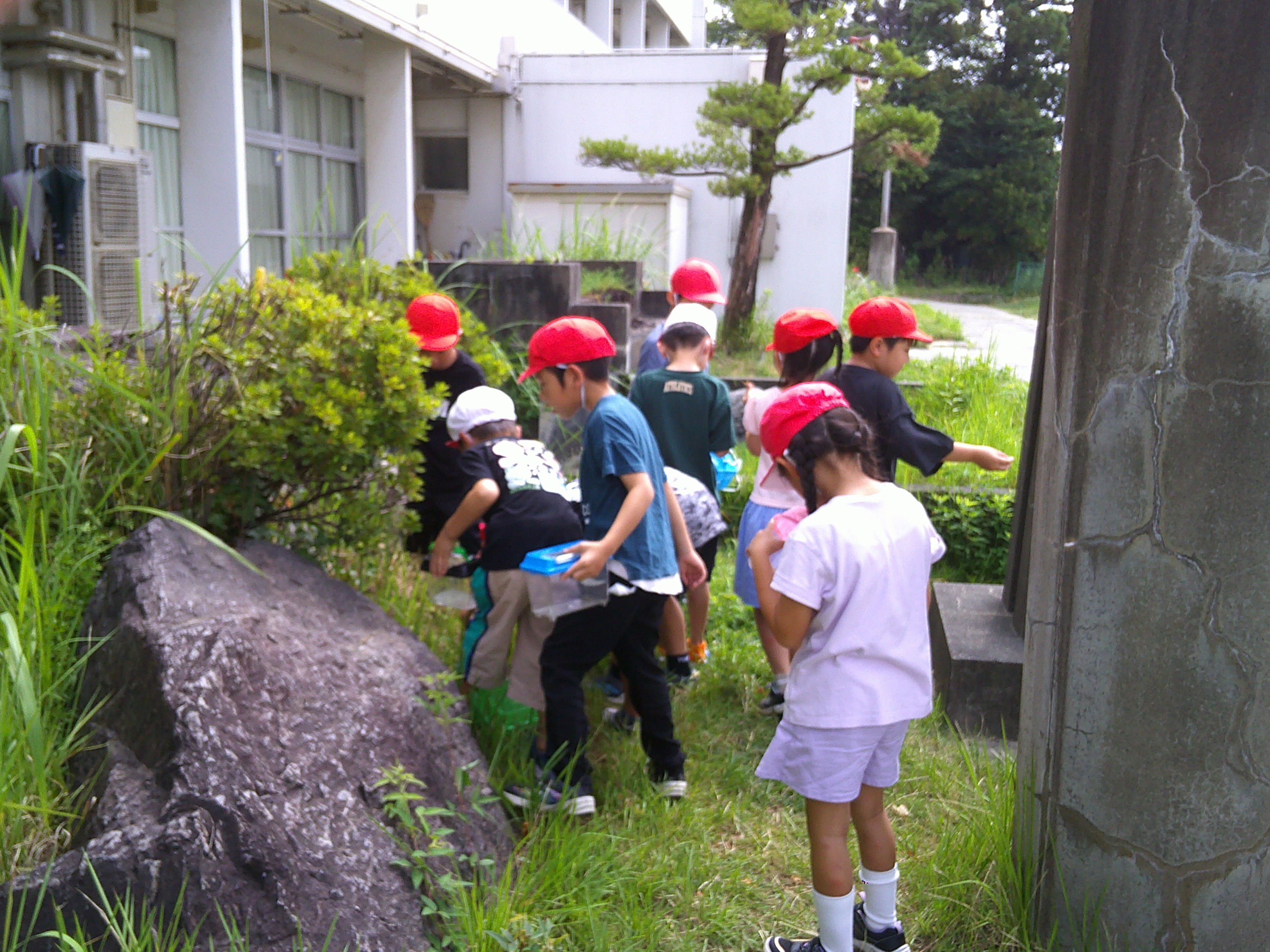 DSCF0083.JPG