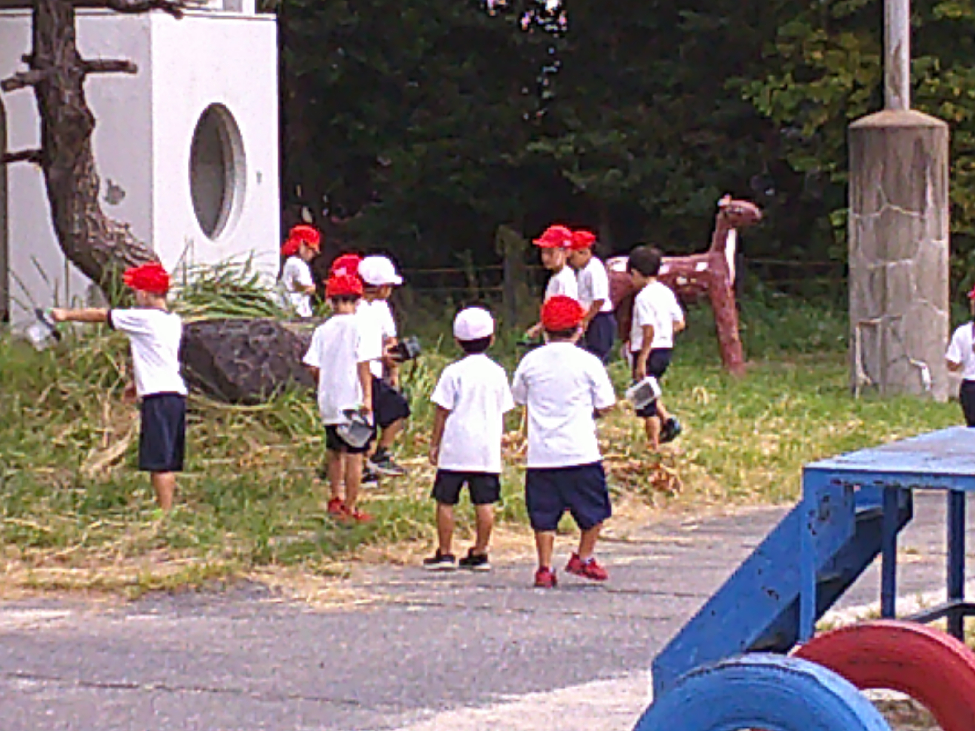 DSCF0004.JPG