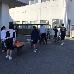 草取りボランティア