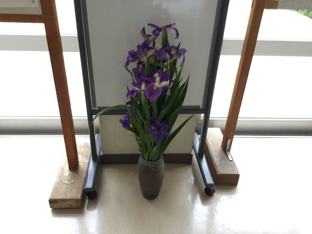 IMG_0249.jpeg
