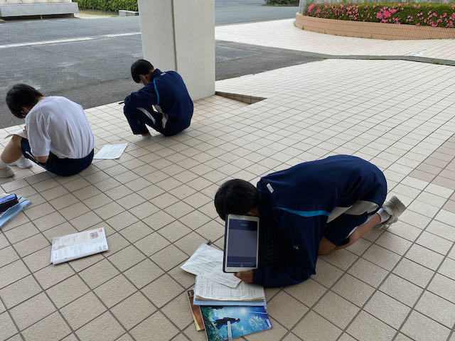 IMG_3544.jpeg