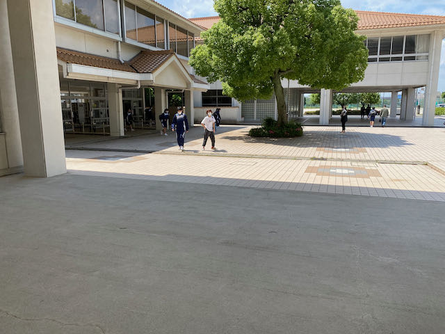 IMG_3661.jpeg