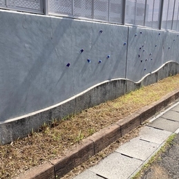 【感謝】朝早くからの草刈りボランティア、ありがとうございました！
