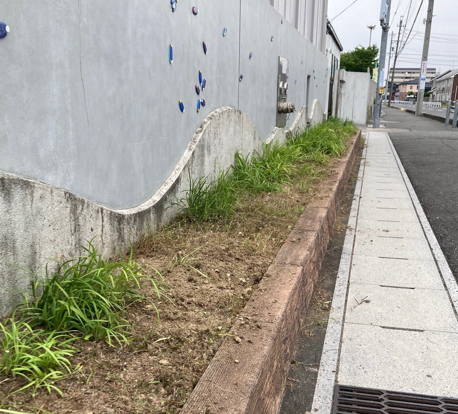 草刈り作業(2).jpeg