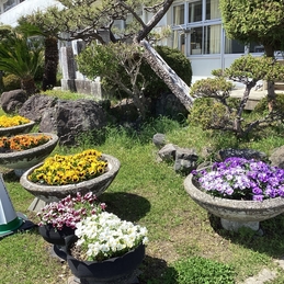 美しさを心地よく感じる心
