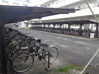 DSC00460.JPG