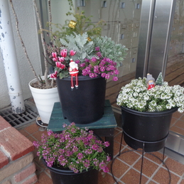 美しいものを美しいと感じる心