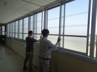 DSC01317.JPG