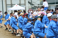 IMG_1785.JPG