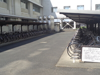 DSC01544.JPG