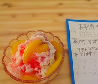 DSC01595.JPG