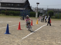 IMG_7211.JPG