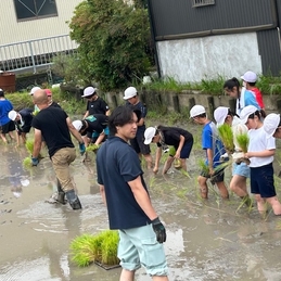 田植え体験