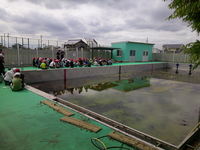 DSCF0137.JPG