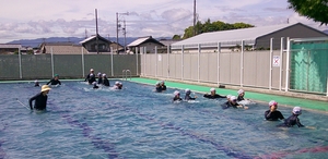 DSCF0162.JPG