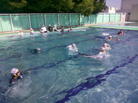 DSCF0173.JPG