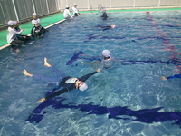 DSCF0180.JPG