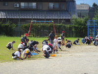 DSC04117.JPG