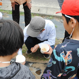 大豆の種まき（３年生）