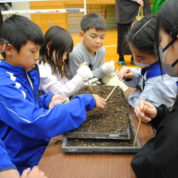 縦割り花活動、学級懇談会、授業参観、引渡し訓練