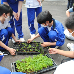 花活動（６～９年生）