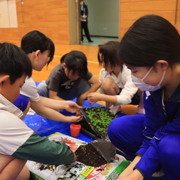 桑の実グループによる花活動（全校）