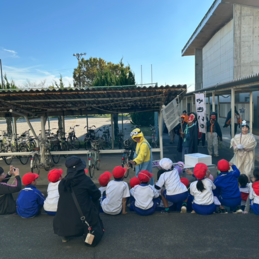 サツマイモ掘り（１・２年生）