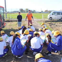稲刈り（５年生）
