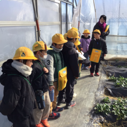 町探検（２年生）