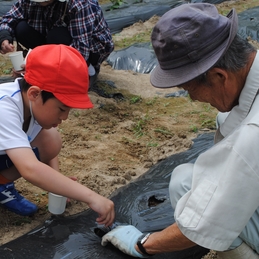 大豆の種まき（３年）