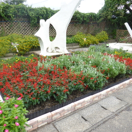FBC岐阜地域地方審査
