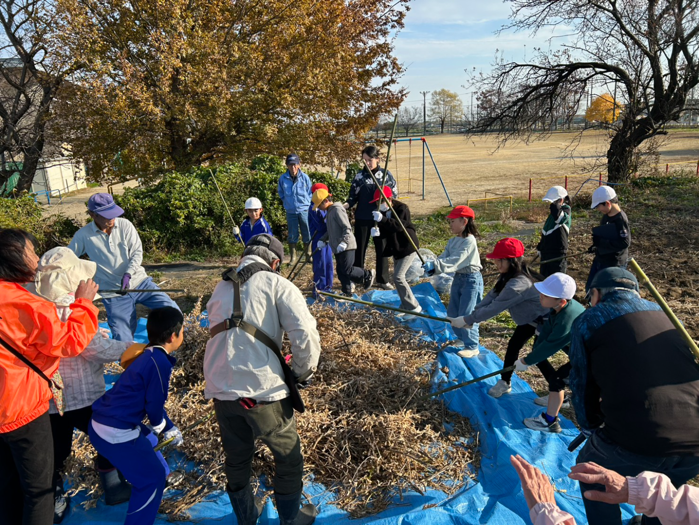 大豆収穫 (7).png