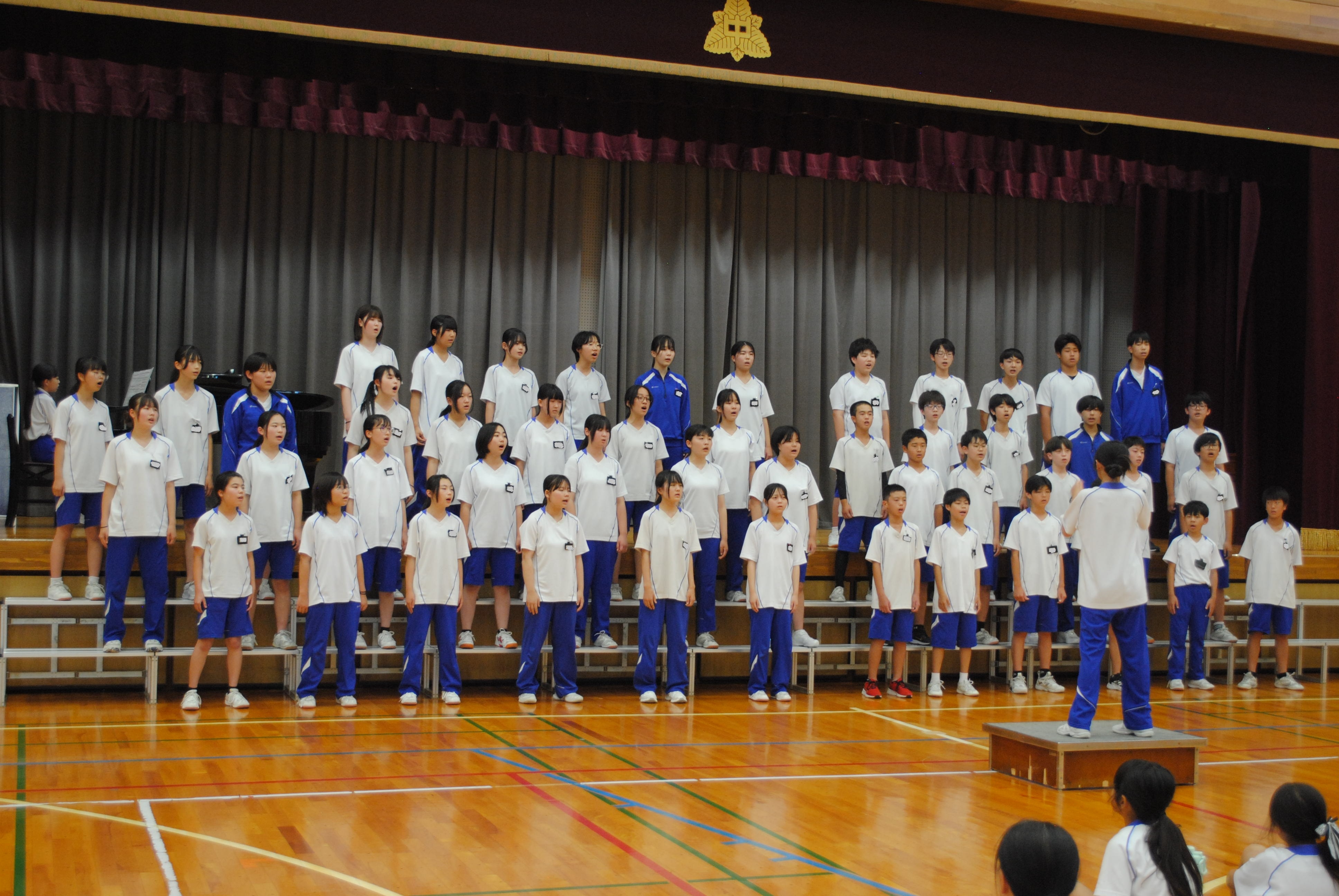 DSC_0519-1.jpg